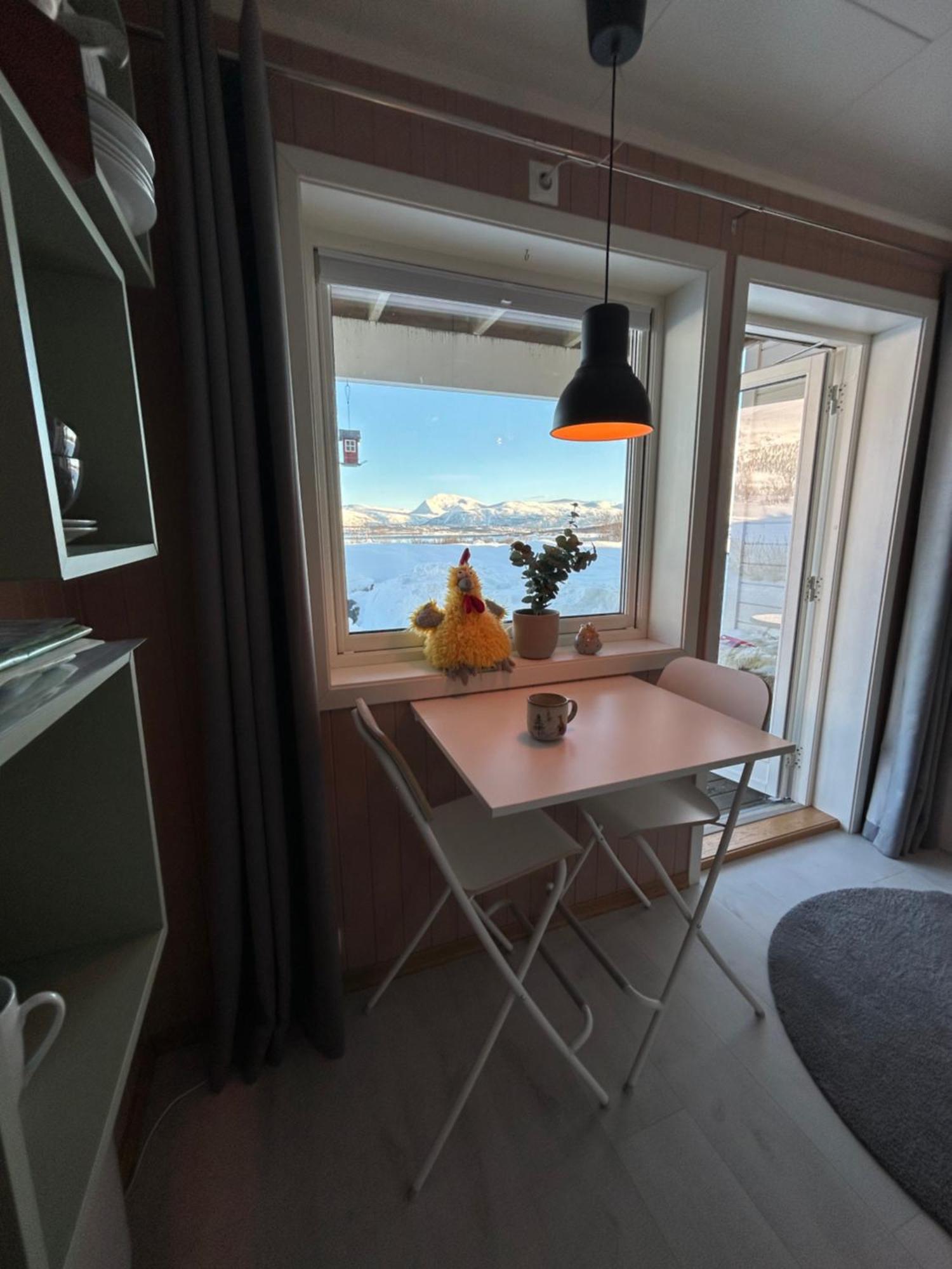 Kvaloya Arctic Retreat - In Beautiful Kvaloya, Homestay *