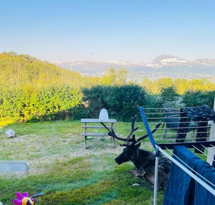 Kvaloya Arctic Retreat - In Beautiful Kvaloya,