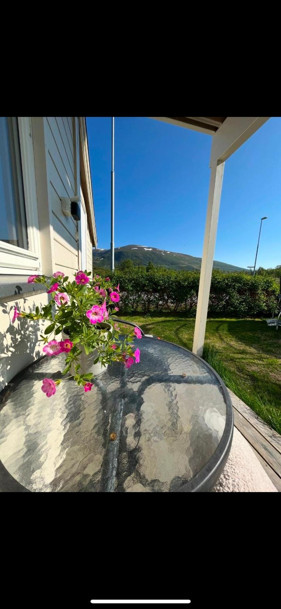 Homestay Kvaloya Arctic Retreat - In Beautiful Kvaloya, Tromso