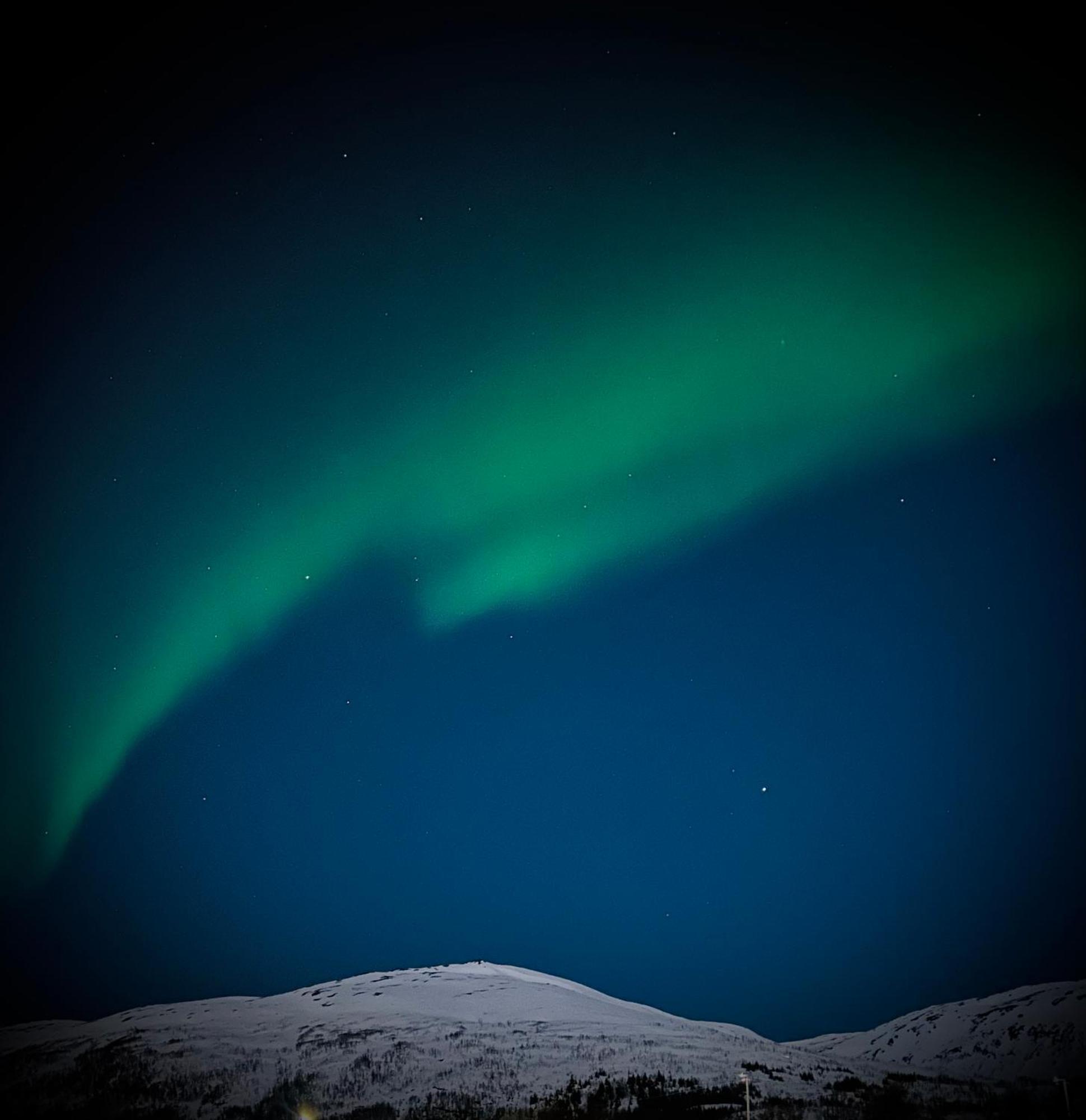 Homestay Kvaloya Arctic Retreat - In Beautiful Kvaloya,